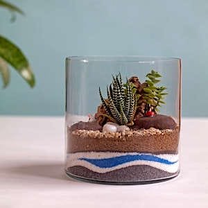 A beautifully arranged glass terrarium featuring lush succulents and rich soil.